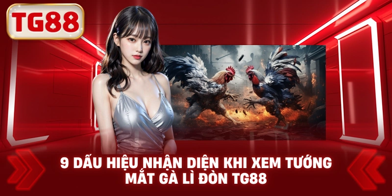 9 Dấu Hiệu Nhận Diện Khi Xem Tướng Mắt Gà Lì Đòn TG88