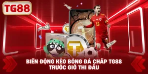Biến động kèo bóng đá chấp TG88 trước giờ thi đấu