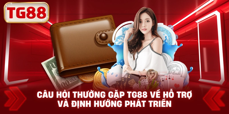 Câu Hỏi Thường Gặp TG88 Về Hỗ Trợ Và Định Hướng Phát Triển