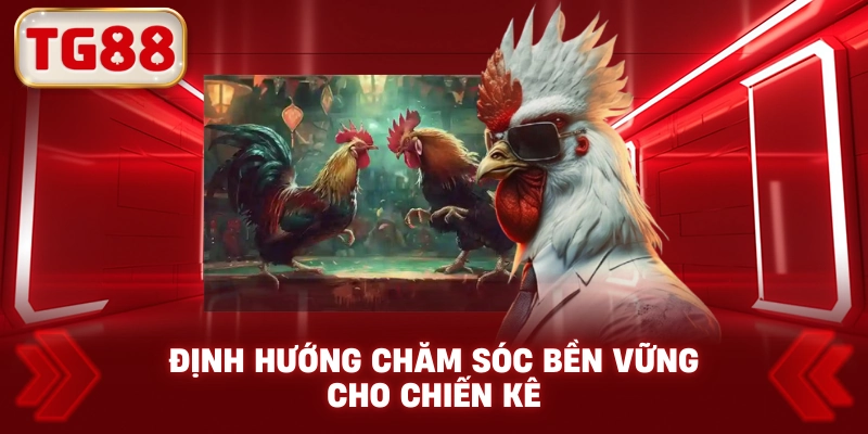 Định Hướng Chăm Sóc Bền Vững Cho Chiến Kê