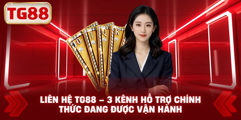 Liên Hệ TG88 – 3 Kênh - Hỗ Trợ Chính Thức Đang Được Vận Hành