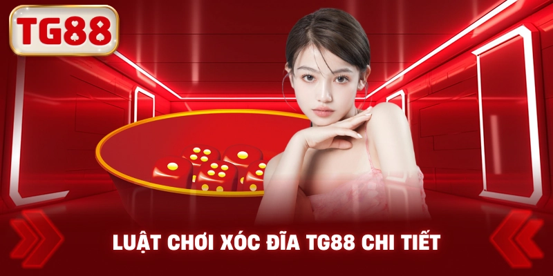 Luật Chơi Xóc Đĩa TG88 Chi Tiết