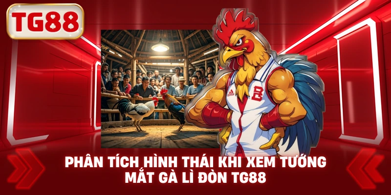Phân Tích Hình Thái Khi Xem Tướng Mắt Gà Lì Đòn TG88