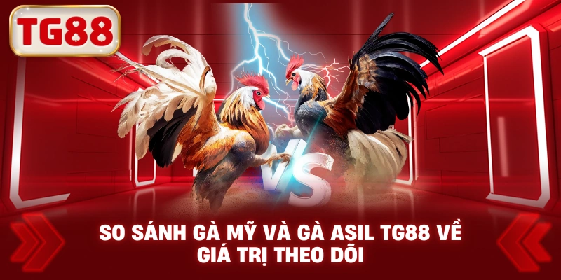 So Sánh Gà Mỹ Và Gà Asil TG88 Về Giá Trị Theo Dõi