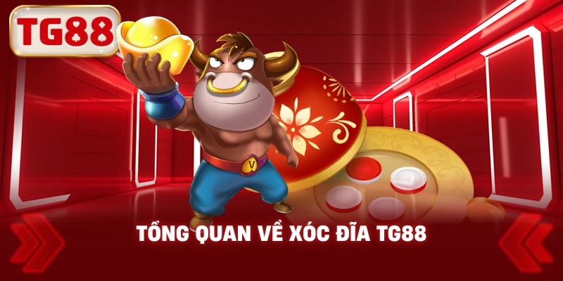 Tổng Quan Về Xóc Đĩa TG88