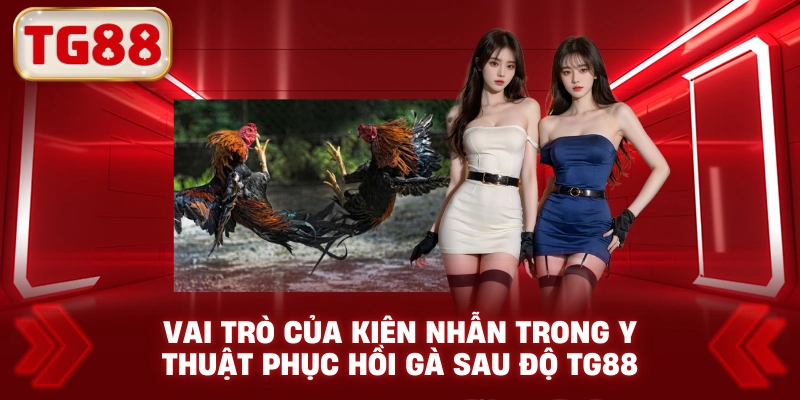 Vai Trò Của Kiên Nhẫn Trong Y Thuật Phục Hồi Gà Sau Độ TG88